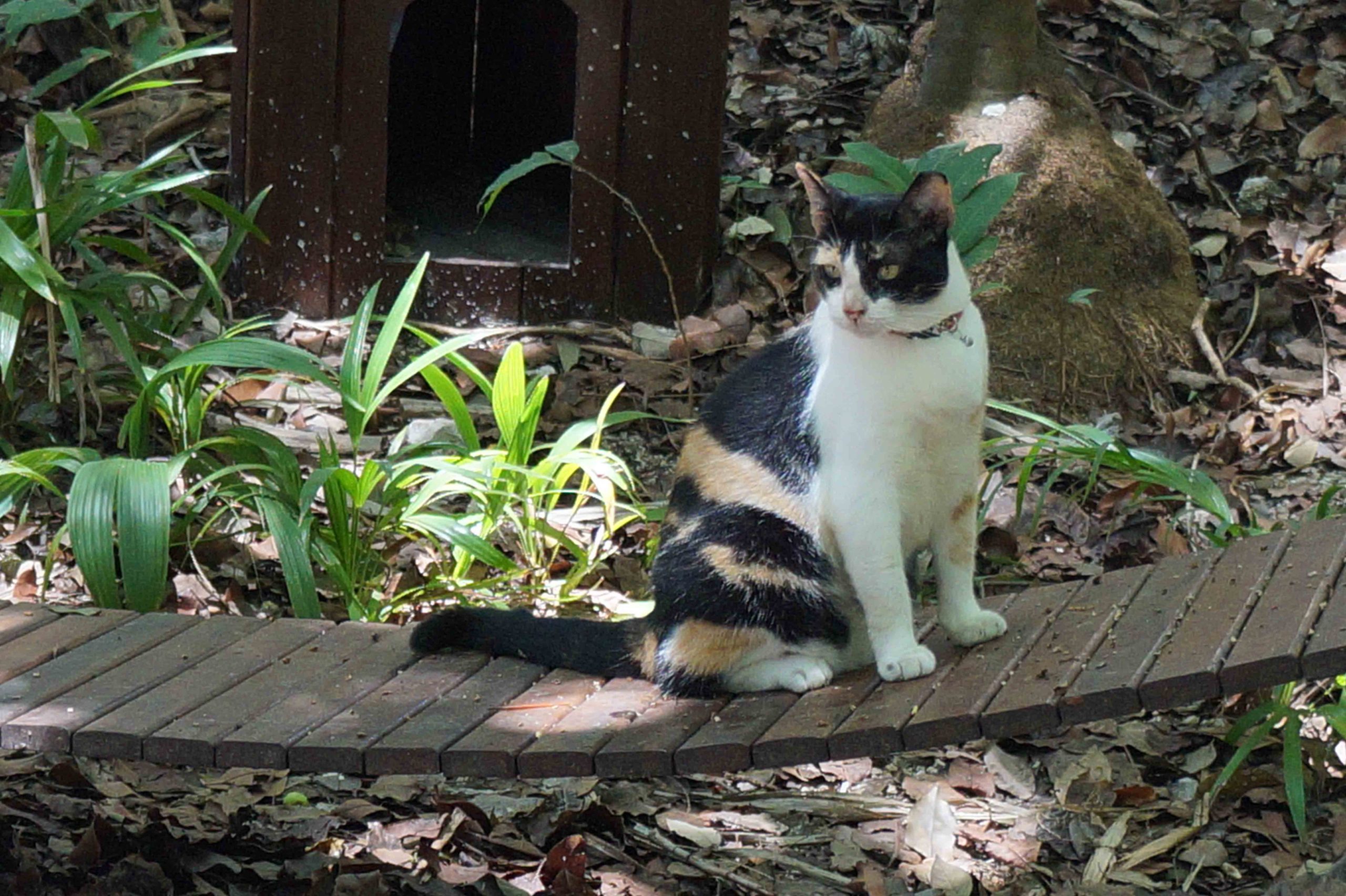 DSC03193
